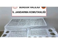 Burdur’da 6 bin 310 sikke ele geçirildi