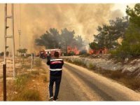 Mersin’deki orman yangınında jandarma ekipleri aktif rol aldı