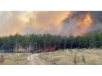 Antalya’da 2025’te 118 orman yangını çıktı, 540 hektar alan zarar gördü