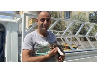 Ağaçta mahsur kalan yavru kedi vatandaşın dikkatiyle kurtarıldı