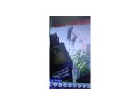 Sipariş verdiği marulu beğenmeyen müşteri, market çalışanı çocuğu darp etti