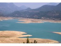 Kuraklık narenciye bahçelerini tehdit etmeye başladı