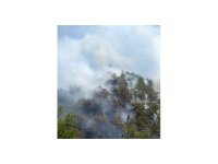 Anamur’da orman yangını