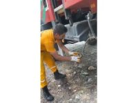 Osmaniye’de çıkan orman yangınından etkilenen kaplumbağa kurtarıldı