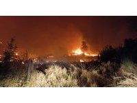 Serik’te tarım arazisinden ormana sıçrayan yangın 5 saatte söndürüldü