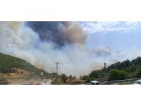 Mersin’deki orman yangınında evler tedbiren boşaltılıyor