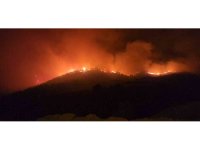 Hassa’da çıkan yangında iki mahallede toplam 540 kişi tahliye edildi