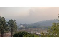 Mersin’deki orman yangını 2. gününde