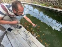 Akvaryum sevgisini yüzme havuzuna taşıdı