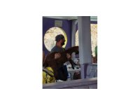 Alanya’da 3 gündür mahsur kalan dağ keçisini tur teknecileri kurtardı