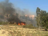 Adana’da yerleşim yeri çevresinde ağaçlık alanda çıkan yangın korkuttu