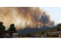 Suriye’deki yangın Türkiye’ye sıçradı