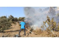 Adana’da ağaçlık alanda çıkan yangın kontrol altına alındı