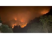 Mersin’de iki ilçede orman yangınları sürüyor