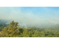 Mersin Anamur’daki orman yangını sürüyor, ekipler havadan ve karadan müdahale ediyor