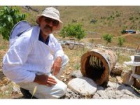 Ağaç kütüğünde doğal bal