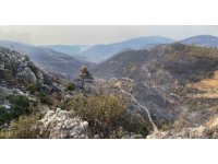 Mersin Silifke’de yangın büyük ölçüde kontrol altına alındı