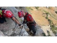 Serik’te uçurumda 3 gündür mahsur kalan keçi, ekipler tarafından kurtarıldı