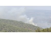 Mersin’de kaynak yaparken orman yangınına neden olan firma sahibi ile 4 kişi tutuklandı