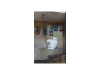 Evinde saka kuşu bulunan şahsa 151 bin 200 lira para cezası