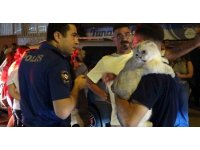 Dairenin balkonunda çıkan yangın korkuttu genç kız gözyaşlarına hakim olamadı