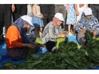 Ellerindeki iğnelerle ödülü alabilmek tütünleri dizmek için kıyasıya yarıştılar