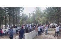 Yangında dumandan etkilenen 3 yaşındaki Asaf, 7 günlük yaşam mücadelesini kaybetti