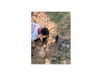 Osmaniye atık su kuyusunda mahsur kalan 2 yavru köpek kurtarıldı