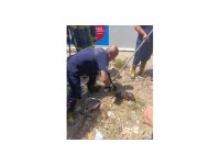 Kuyuya düşen yavru köpek kurtarıldı