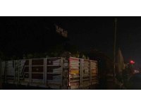 Şofbenden çıkan yangında alevler iş yerini sardı