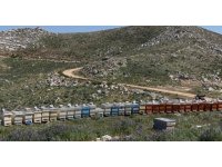 Gazipaşa’da 36 arı kovanı çalındı