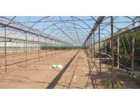 Antalya’da serada cinayet: 2 ölü