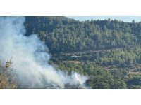 Manavgat’ta ormanlık alanda yangın