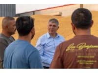 Adana’da mısırda 1 milyon 135 bin ton rekolte bekleniyor