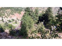 Otomobil uçuruma yuvarlandı: 2 ölü