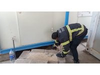 Hatay’da konteynerin altına sıkışan köpek kurtarıldı