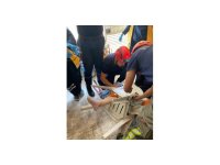 Ayağını sandalyeye sıkıştıran şahıs yaralandı