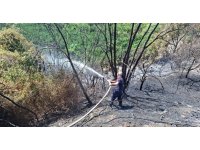 Samandağ’da bahçe yangını kısa sürede söndürüldü