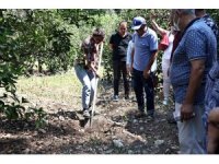 Büyükşehir’den üreticiyi eğitim desteği