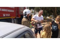 Hatay’da palmiyede mahsur kalan kedi ekipler tarafından kurtarıldı