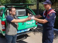 Yaralı olarak bulunan İbibik kuşu jandarma sayesinde yaşama tutundu