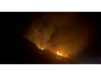 Elektrik tellerinden çıkan yangında ağaçlık alan alevlere teslim oldu