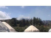 Hatay’da çıkan orman yangını büyümeden söndürüldü