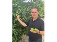 Doğan "Turunçgil kesim ve ihraç tarihlerinde sahadaki gerçek üretim şartları dikkate alınmalıdır’’