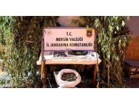 Mersin’de bahçelerine kenevir eken 3 şüpheli yakalandı