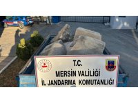 Mersin’de Bizans dönemine ait 7 parça eser ele geçirildi: 2 gözaltı