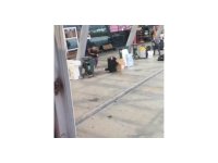 Osmaniye’de kızını vuran baba tutuklandı