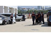 Adana’da 69 yaşındaki şüpheli istismar suçundan tutuklandı