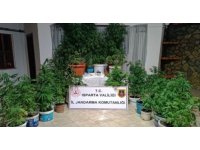 Isparta’da son bir ayda uyuşturucu operasyonlarında yakalanan 2 şahıs tutuklandı