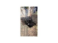 Burdur’da kuyuya düşen inek 2 saatlik çalışmayla kurtarıldı